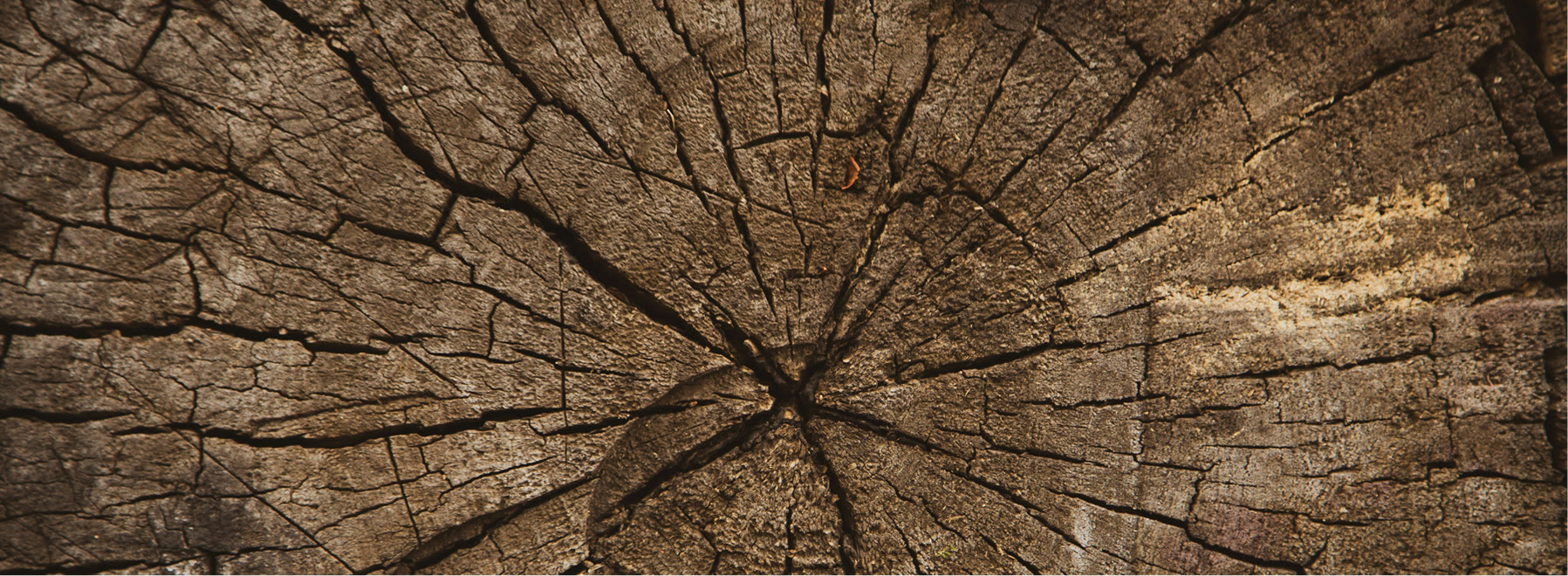 wood-image